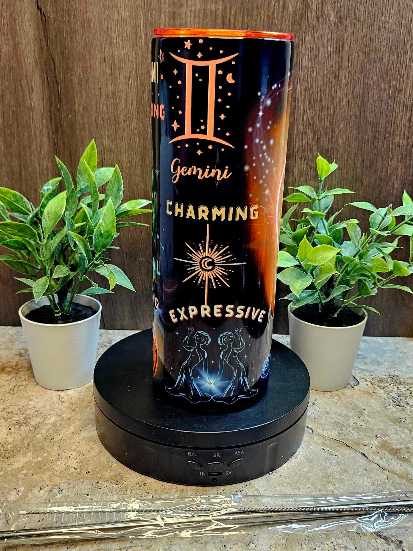 GEMINI ZODIAC (Personalized) 20oz Tumbler